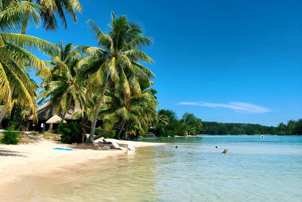 people swimming in blue water with palm trees on summers day in tahiti
