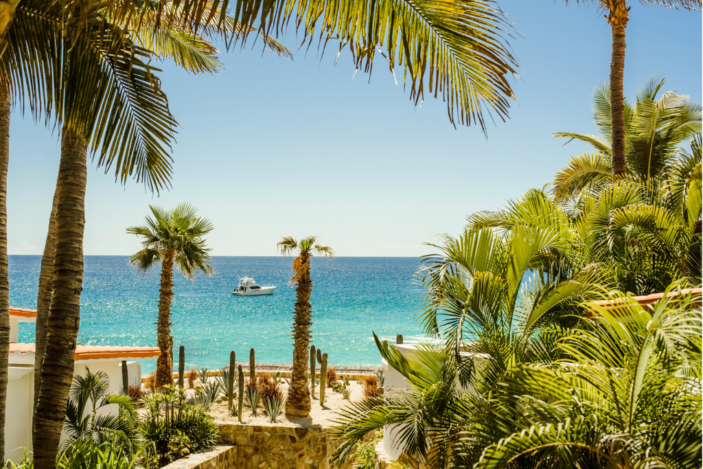 palm trees and white sandy beach and boat in ocean in Los Cabos, B.C.S., México