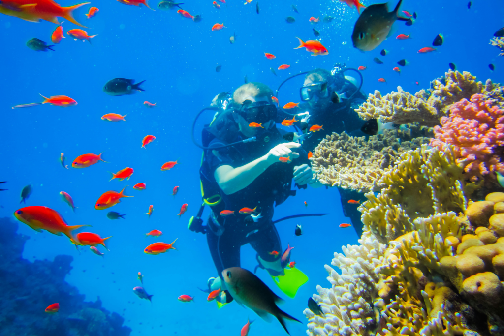 divers surrounded by reef fish in the great barrier reef off the coast of cairns in australia